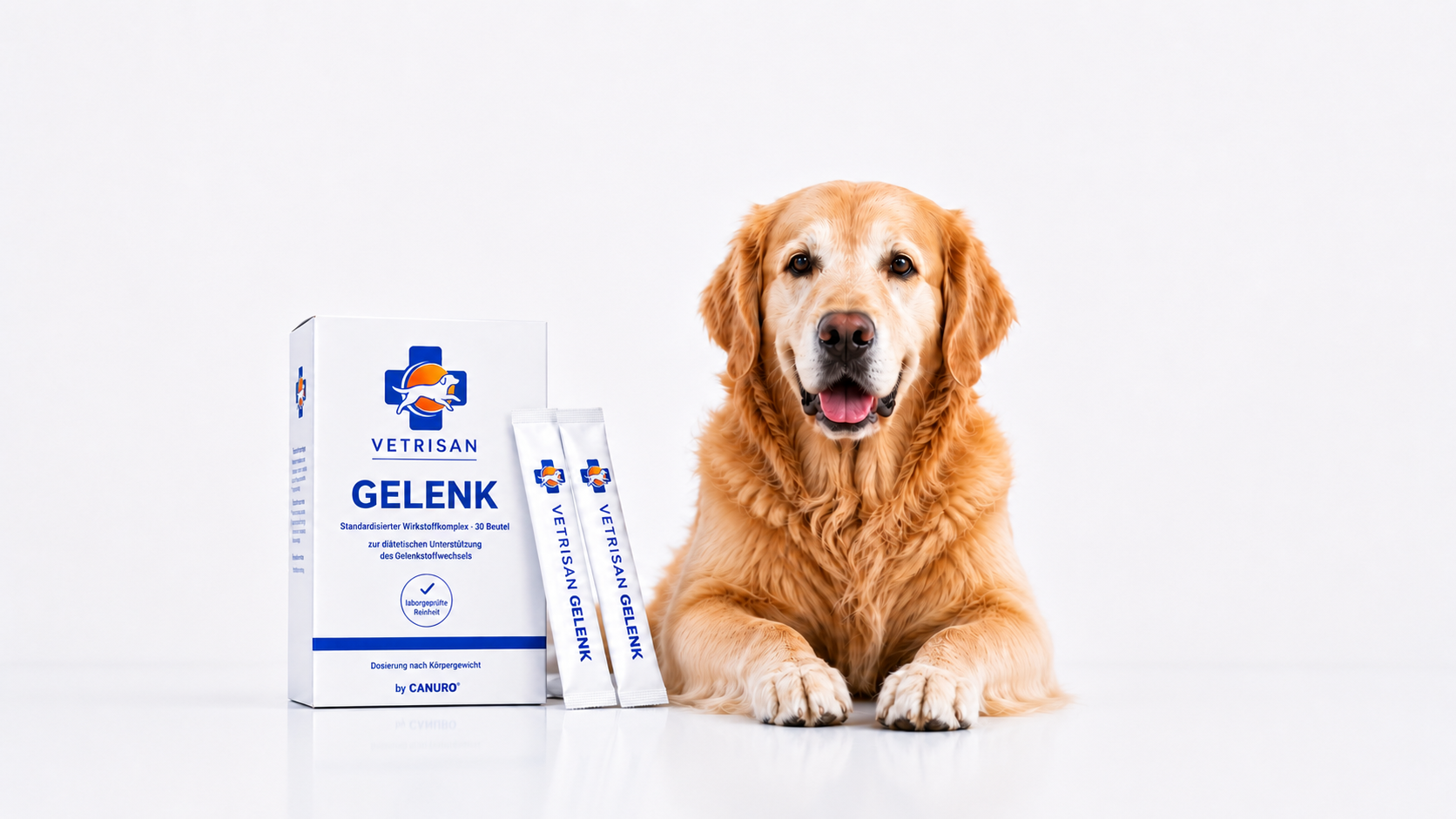 VETRISAN GELENK Faltschachtel mit Portionsbeuteln neben einem Golden Retriever