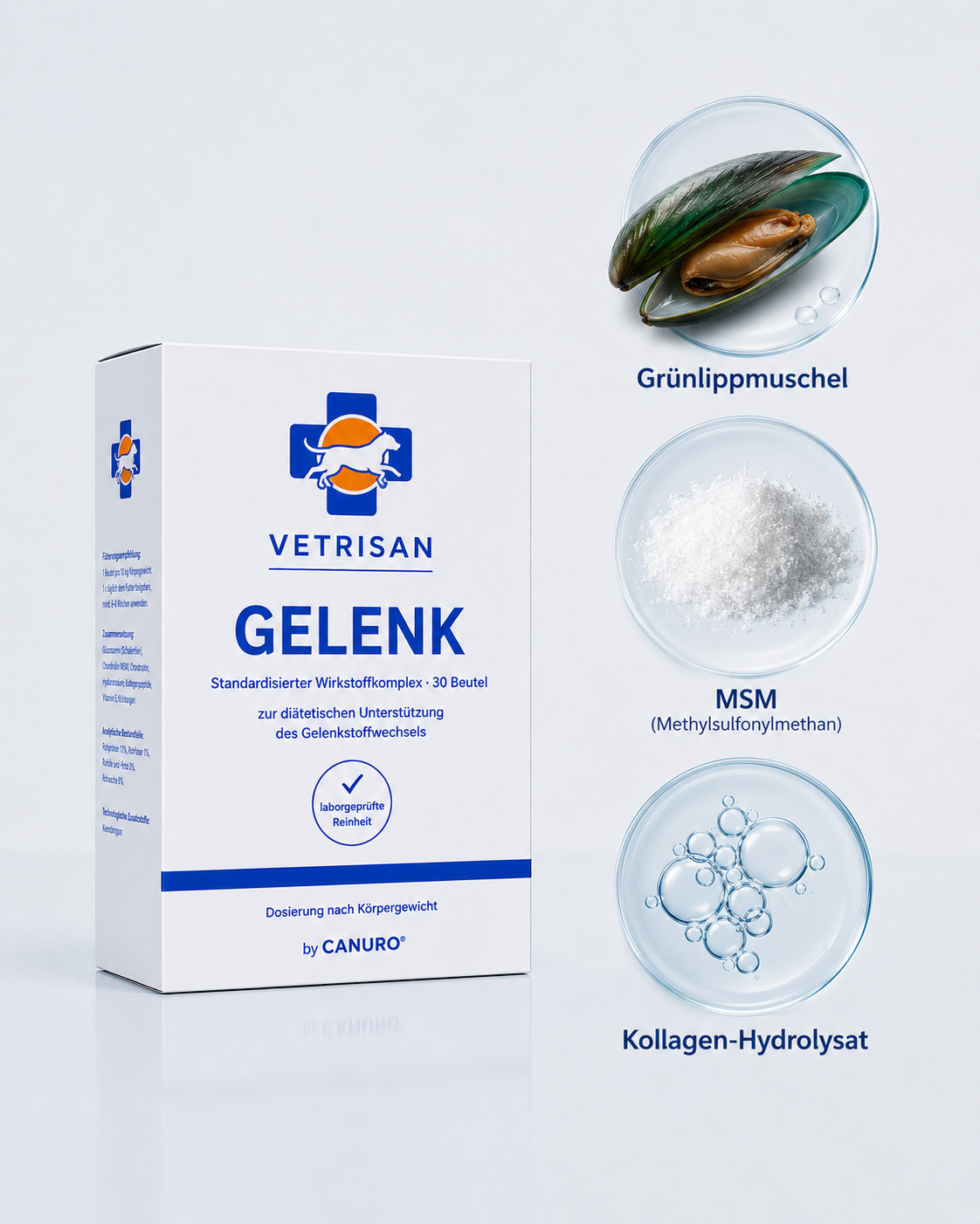 VETRISAN GELENK Box mit Grünlippmuschel, MSM und Kollagen-Hydrolysat